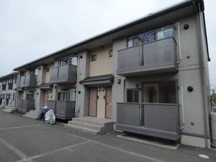 モーニンググローリー Bの画像