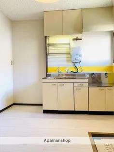 パナハイツサルビア【1階】のキッチン