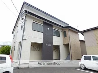 コーラルBの画像