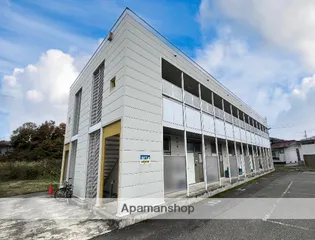 M Tセジュールの画像