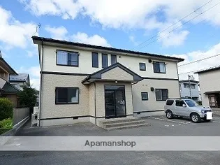 コーラルAの画像