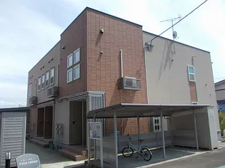 エヴァーグリーンの画像