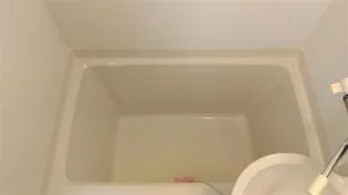 レオパレスSEABREAM B【204号室】の風呂