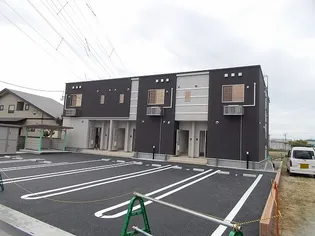 タクティCの画像