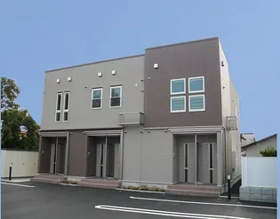 ビスターリAの画像