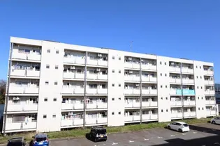 ビレッジハウス清水1号棟【1階】の外観