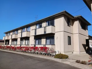 ピエス赤井D【1階】の外観