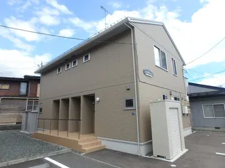 シャムロックVの画像