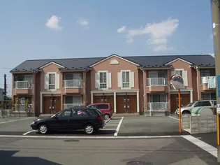 かみふうせんの画像