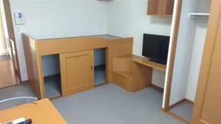 レオパレスSEABREAM B【204号室】の居間