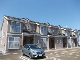 スプレンドルAの画像