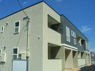 プリムラの画像