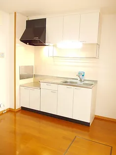 グランデ・フィオーレ ⅠーB【1階】のキッチン