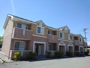 セレッソの画像