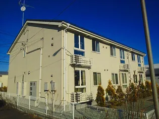 ブエナ ビスタの画像