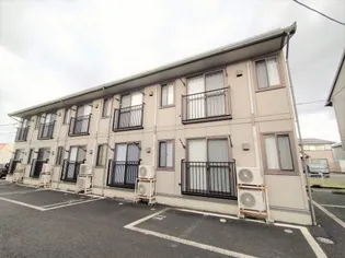 モーニンググローリー Aの画像