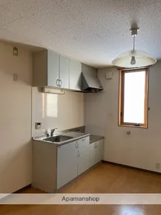 テネメント梅津【203号室】の内装