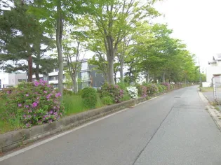 ハイツティー・アール・シー【105号室】の周辺