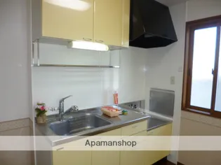 シャインパークカガヤ A【1階】のキッチン