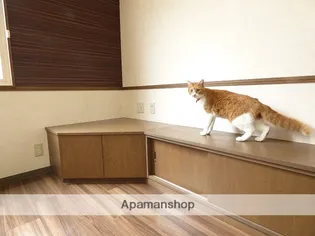 PEPPYHOUSE【1階】の内装