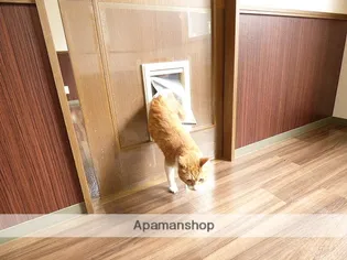 PEPPYHOUSE【1階】のその他画像