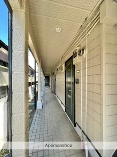 グランシオン【206号室】のその他画像