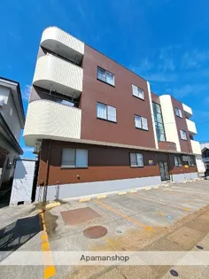 サンライズタカナオの画像