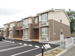 トータルインIの画像