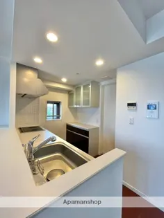 THE MARKS山王けやき通り【301号室】の内装