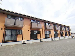 ソレイユ マノワールの画像