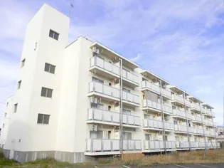 ビレッジハウス仁井田4号棟【2階】の外観