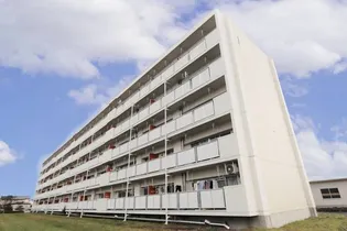 ビレッジハウス北常盤台1号棟の画像