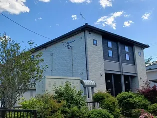 マイグラン楓の画像