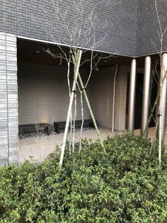 クレスティーク山王【2階】のその他画像