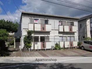 パナハイツサルビアの画像