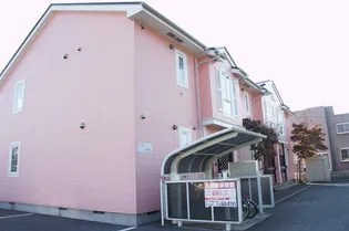 アンシャンテの画像