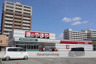 パナハイツサルビア【2階】の周辺