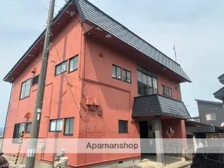 フォレストTの画像