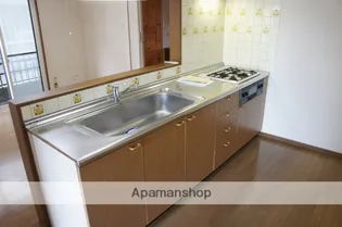 アイランド八橋【A号室】のキッチン