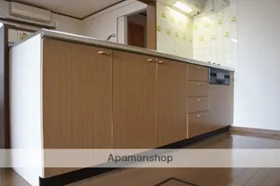 アイランド八橋【A号室】のキッチン