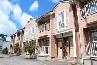 かみふうせんの画像