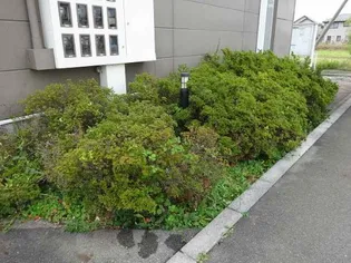 レオパレス飯島Ⅱ【110号室】のその他画像