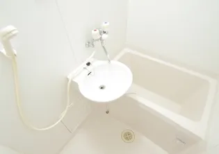 レオパレス飯島Ⅱ【110号室】の風呂