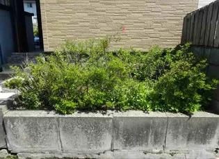 レオパレス桜【207号室】のその他画像