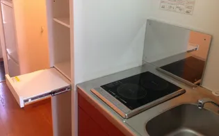 レオパレス樹【203号室】のその他画像