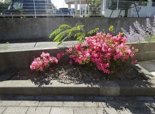 レオパレス樹【207号室】のその他画像