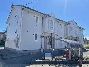 サニーはまなすの画像