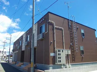 ハイグレイスの画像