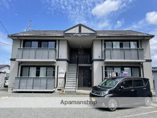 エヴァーグリーンCの画像