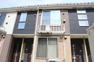 プラシードAの画像